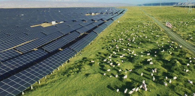 邦度能源集团70MW光伏项目并网发电赛酷体育