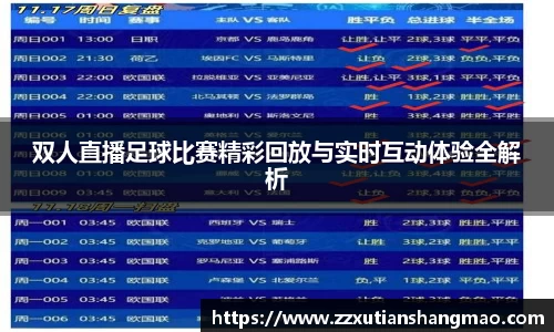 双人直播足球比赛精彩回放与实时互动体验全解析