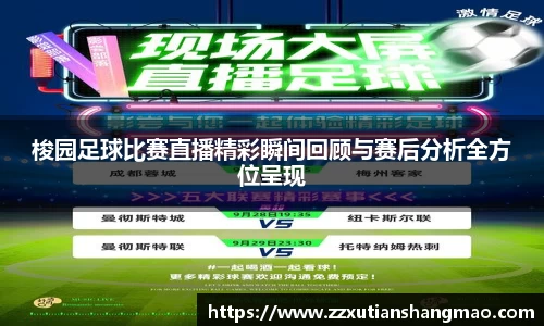 梭园足球比赛直播精彩瞬间回顾与赛后分析全方位呈现