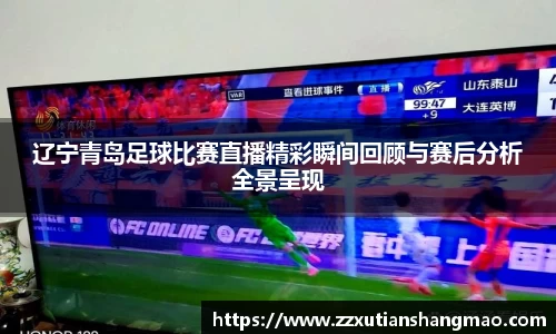 辽宁青岛足球比赛直播精彩瞬间回顾与赛后分析全景呈现