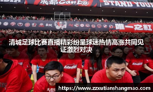 清城足球比赛直播精彩纷呈球迷热情高涨共同见证激烈对决