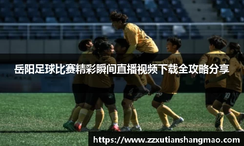 im电竞官网